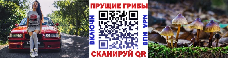 Купить где  Белокуриха  Псилоцибиновые грибы MAGIC MUSHROOMS 